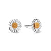 Michaelmas Daisy Stud Earrings Sterling Silver