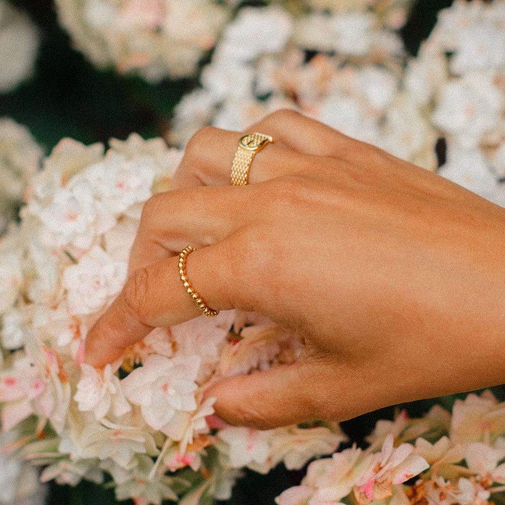 Shrimps Belt Ring 18ct Gold Plate