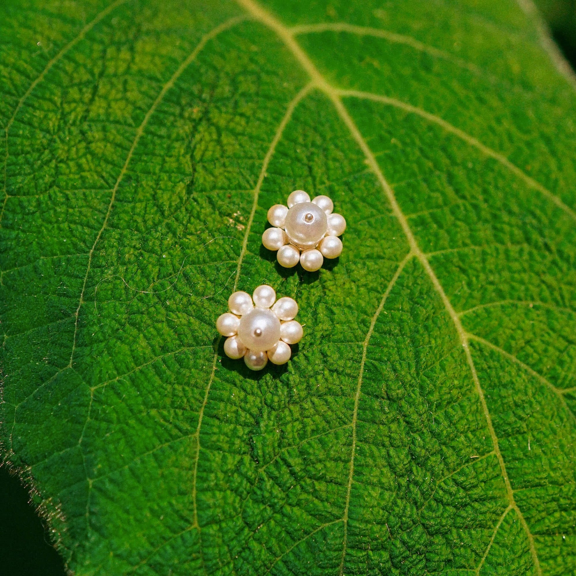 Shrimps Pearl Flower Stud Earrings Sterling Silver