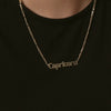 Capricorn Zodiac Necklace 18ct Gold Plate