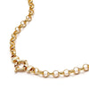 Apollo Chain Necklace 18ct Gold Plate