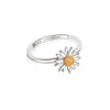 English Daisy Rings