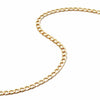 Estée Lalonde Curb Chain Necklace 18ct Gold Plate